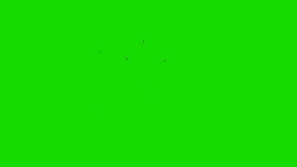 Група літаючих комах на фоні зелений екран — стокове відео
