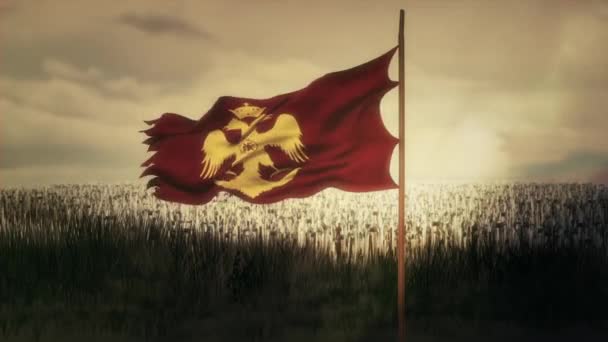 Bysantinska örn av den östra romerska bysantinska riket vinka flagga och armén — Stockvideo