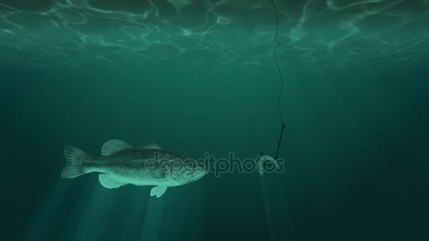 水下鱼和一个鱼钩与蠕虫 — 图库视频影像