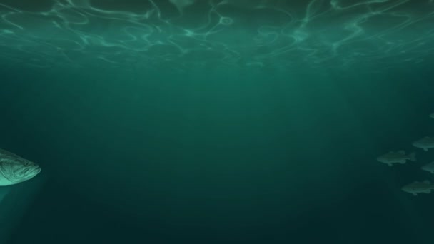 École de poissons nager sous l'eau — Video