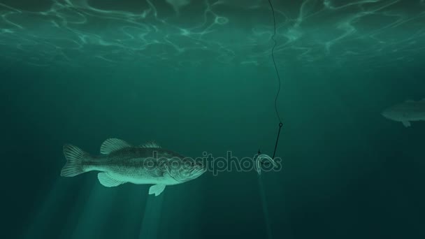 Fische schwimmen neben einem Haken mit einem Köder — Stockvideo