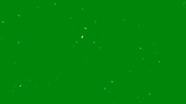 Küçük parçacıklar rüzgarda bir yeşil ekran arka plan üzerinde hareket