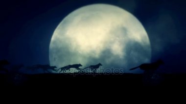 Büyük bir dolunay gecesi çalışan kurt sürüsü