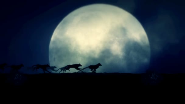 Une Meute Loups Courant Une Nuit Pleine Lune — Video