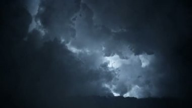 Epik bir fırtına ile çalışan kurt