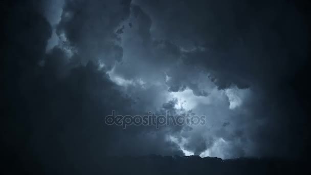 狼在史诗般的闪电风暴中奔跑 — 图库视频影像