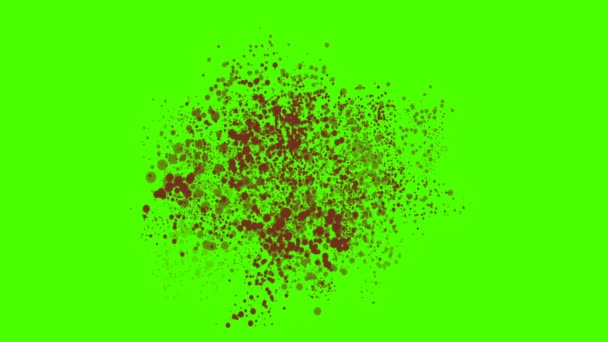 Blood Splatter Splashing Pouring Green Screen — Stock Video