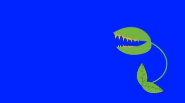 Çizgi film Venüs Sinek kapanı bir mavi ekran arka plan üzerinde ısırma