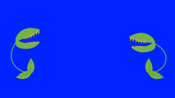 Cartoon Venus Fly Traps Vechten Een Blauw Scherm Achtergrond — Stockvideo