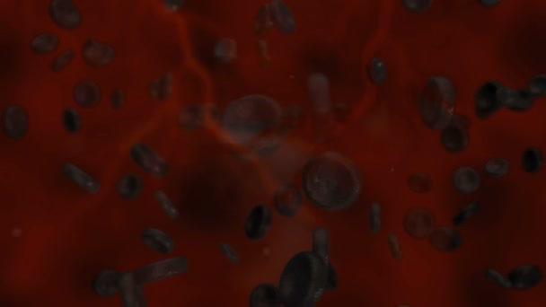 Хворий Клітин Крові Подорожуючи Організмі Людини — стокове відео