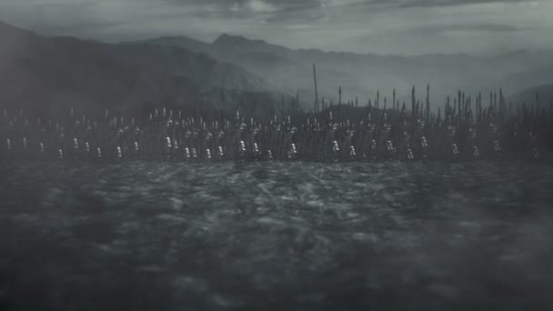 Elfos Exército Campo Batalha Pronto Para Batalha — Vídeo de Stock