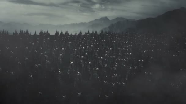 Gran Ejército Elfos Llevando Armadura Completa Marchando Campo Batalla — Vídeos de Stock