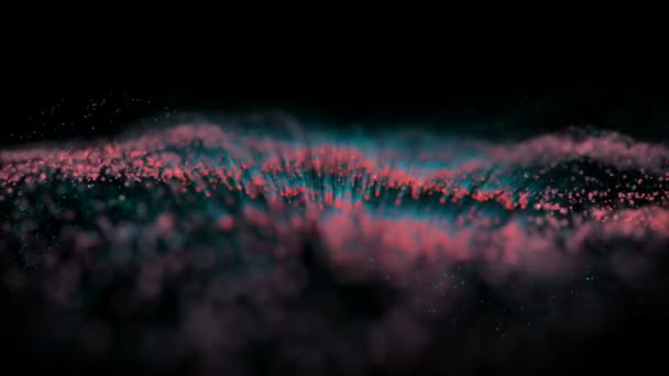 Field of Digital Roses Flower Moving and Forming in Hi-Tech Style — Stock Footage Field Digital Roses Flower Moving Forming Tech Style Video Clip