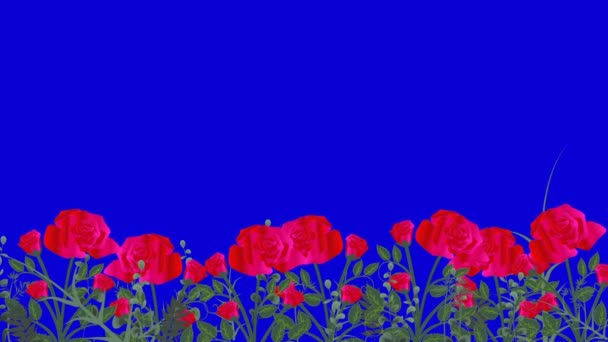 Seamless Roses Flower Pattern Moving Wind Transparent Alpha Channel Royalty Free Stock Video