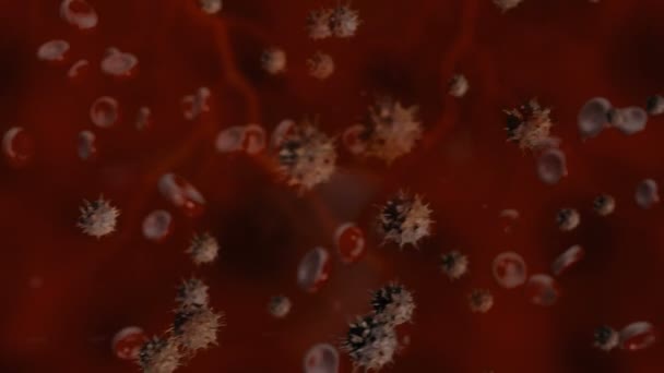 Coronavirus Attacking Red Blood Cells — Stok video