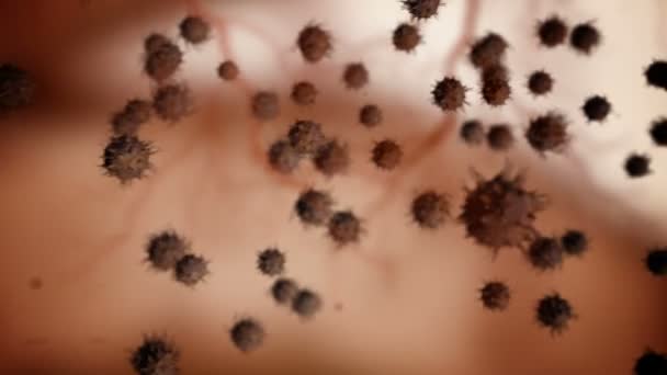 Coronavirus Μέσα Ένα Ανθρώπινο Σώμα — Αρχείο Βίντεο