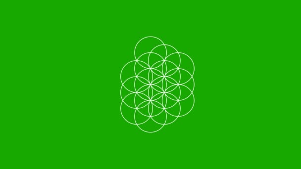 Цветок Жизни Формирующийся Зеленом Экране — стоковое видео