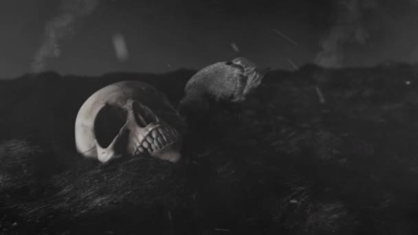 Corbeau Noir Pecking Human Skull Burning Field — Video