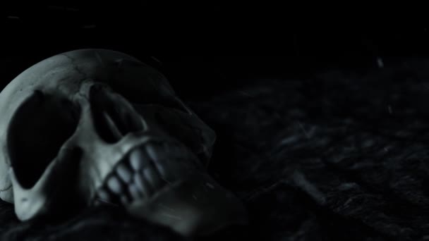 人間の頭蓋骨と焼かれた灰 — ストック動画