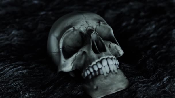 Cráneo Humano Aterrador Cerca — Vídeo de stock
