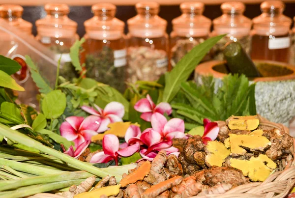 Ayurveda kruiden en wortels voor behandeling — Stockfoto