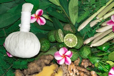 Ayurveda tıp bitkisel ilaç Hint Kliniği