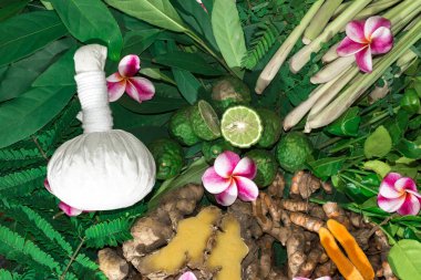 Ayurveda tıp bitkisel ilaç Hint Kliniği