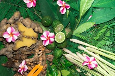 Ayurveda tıp bitkisel ilaç Hint Kliniği