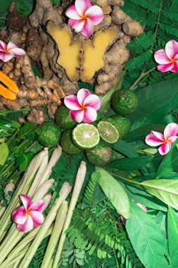 Ayurveda tıp bitkisel ilaç Hint Kliniği