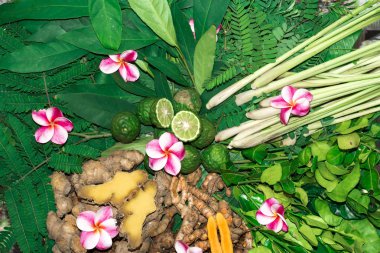 Ayurveda tıp bitkisel ilaç Hint Kliniği