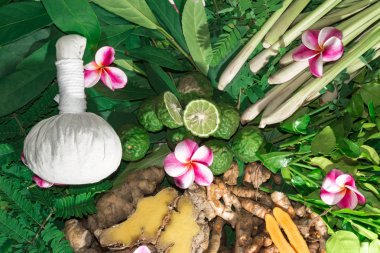 Ayurveda tıp bitkisel ilaç Hint Kliniği