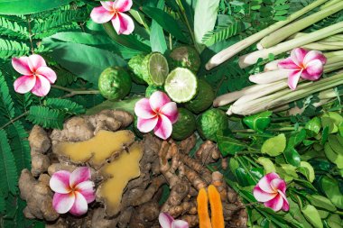 Ayurveda tıp bitkisel ilaç Hint Kliniği