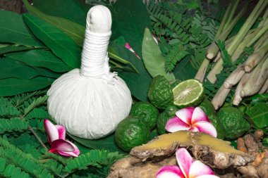 Ayurveda tıp bitkisel ilaç Hint Kliniği