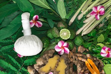 Ayurveda tıp bitkisel ilaç Hint Kliniği