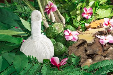 Ayurveda tıp bitkisel ilaç Hint Kliniği