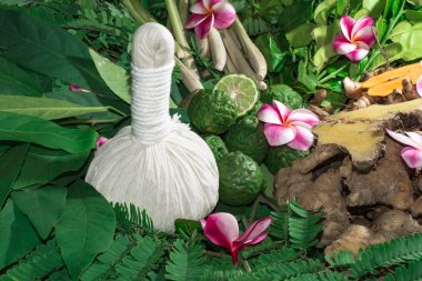 Ayurveda tıp bitkisel ilaç Hint Kliniği