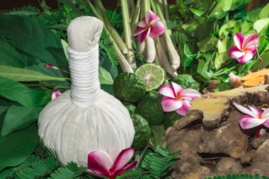 Ayurveda tıp bitkisel ilaç Hint Kliniği