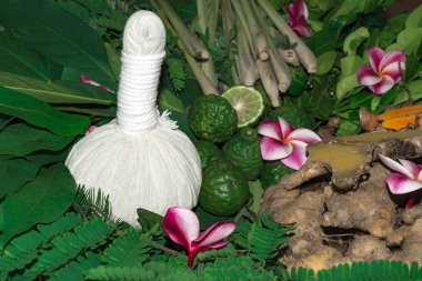 Ayurveda tıp bitkisel ilaç Hint Kliniği