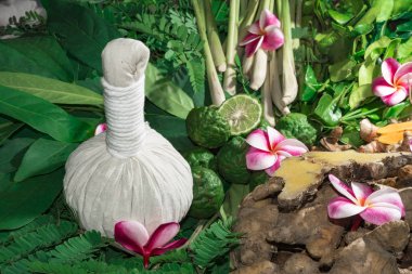 Ayurveda tıp bitkisel ilaç Hint Kliniği