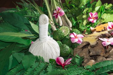 Ayurveda tıp bitkisel ilaç Hint Kliniği