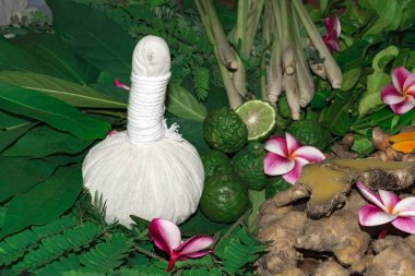 Ayurveda tıp bitkisel ilaç Hint Kliniği