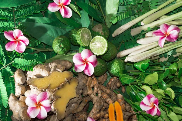 Ayurveda tıp bitkisel ilaç Hint Kliniği