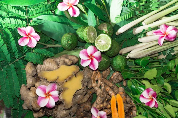 Ayurveda tıp bitkisel ilaç Hint Kliniği