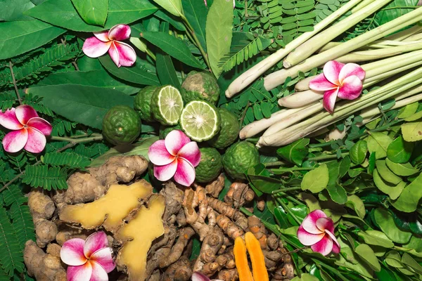 Ayurveda Medizin Kräutermedizin in indischer Klinik — Stockfoto