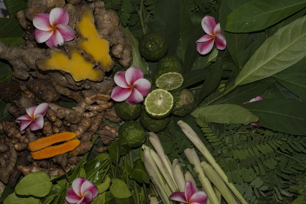 Ayurveda tıp bitkisel ilaç Hint Kliniği