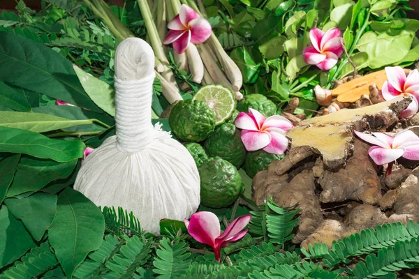 Ayurveda tıp bitkisel ilaç Hint Kliniği