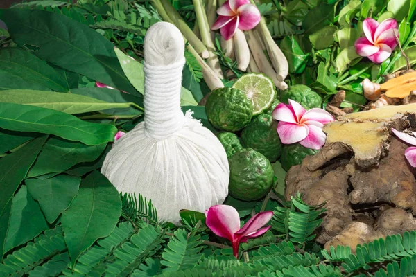 Ayurveda tıp bitkisel ilaç Hint Kliniği