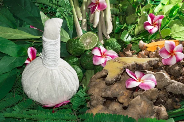 Ayurveda tıp bitkisel ilaç Hint Kliniği