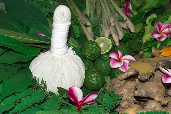 Ayurveda tıp bitkisel ilaç Hint Kliniği