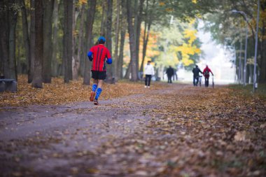 adam bir sonbahar parkında Chernigov çalıştıran